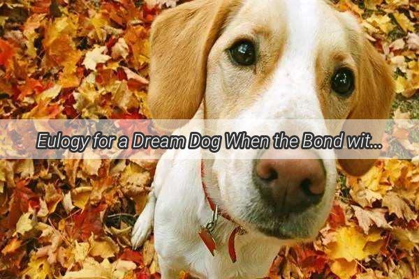 Eulogy for a Dream Dog When the Bond with Your Roommates Pet Dies in the Night